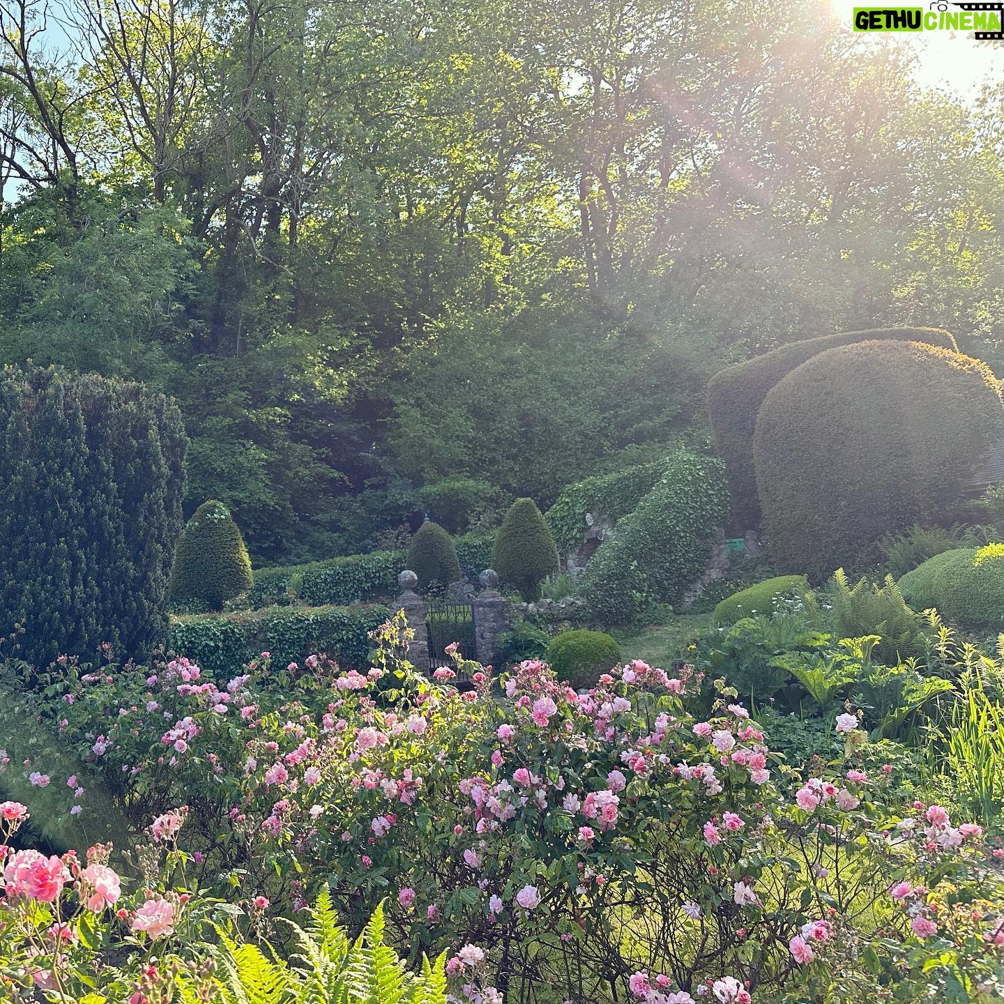 Kelly Brook Instagram - My Garden in the Woods 🪵🌸 #KentlivingwithKelly
