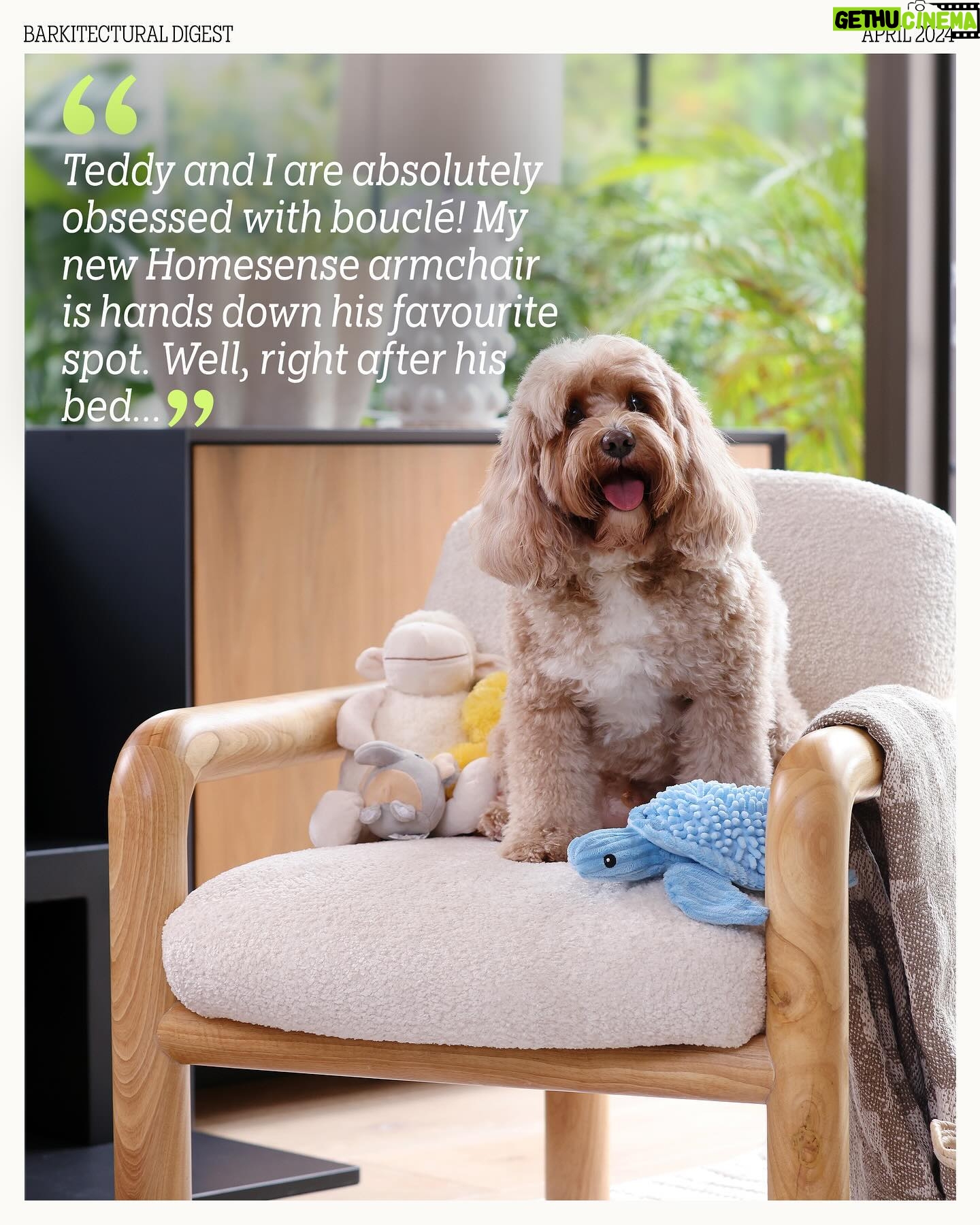 Kelly Brook Instagram - Introducing #BarkitecturalDigest, a digital content series to inspire pet owners wanting to give their pets a life of luxury for less. Here we spoke with dog mum and interiors fan @iamkb about all things pet and the home. She’s never far from her beloved cavapoo, Teddy, so it’s no surprise that elements of her home are designed not only to match her style, but with him in mind. At Homesense, you don’t have to compromise when it comes to your pets – or your interior style. With quality pet products and homeware at incredible value all year round, and fresh deliveries arriving throughout the week, you never know what you might find. Follow along for tips and inspiration. Welcome to a world where every pawprint adds a touch of charm to your home 🤍 #PetsOfHomesense #BarkitecturalDigest #AD