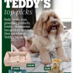 Kelly Brook Instagram - Introducing #BarkitecturalDigest, a digital content series to inspire pet owners wanting to give their pets a life of luxury for less.​ ​ Here we spoke with dog mum and interiors fan @iamkb about all things pet and the home. She’s never far from her beloved cavapoo, Teddy, so it’s no surprise that elements of her home are designed not only to match her style, but with him in mind.​ ​ At Homesense, you don’t have to compromise when it comes to your pets – or your interior style. With quality pet products and homeware at incredible value all year round, and fresh deliveries arriving throughout the week, you never know what you might find.​ ​ Follow along for tips and inspiration. Welcome to a world where every pawprint adds a touch of charm to your home 🤍 ​ ​ #PetsOfHomesense #BarkitecturalDigest #AD