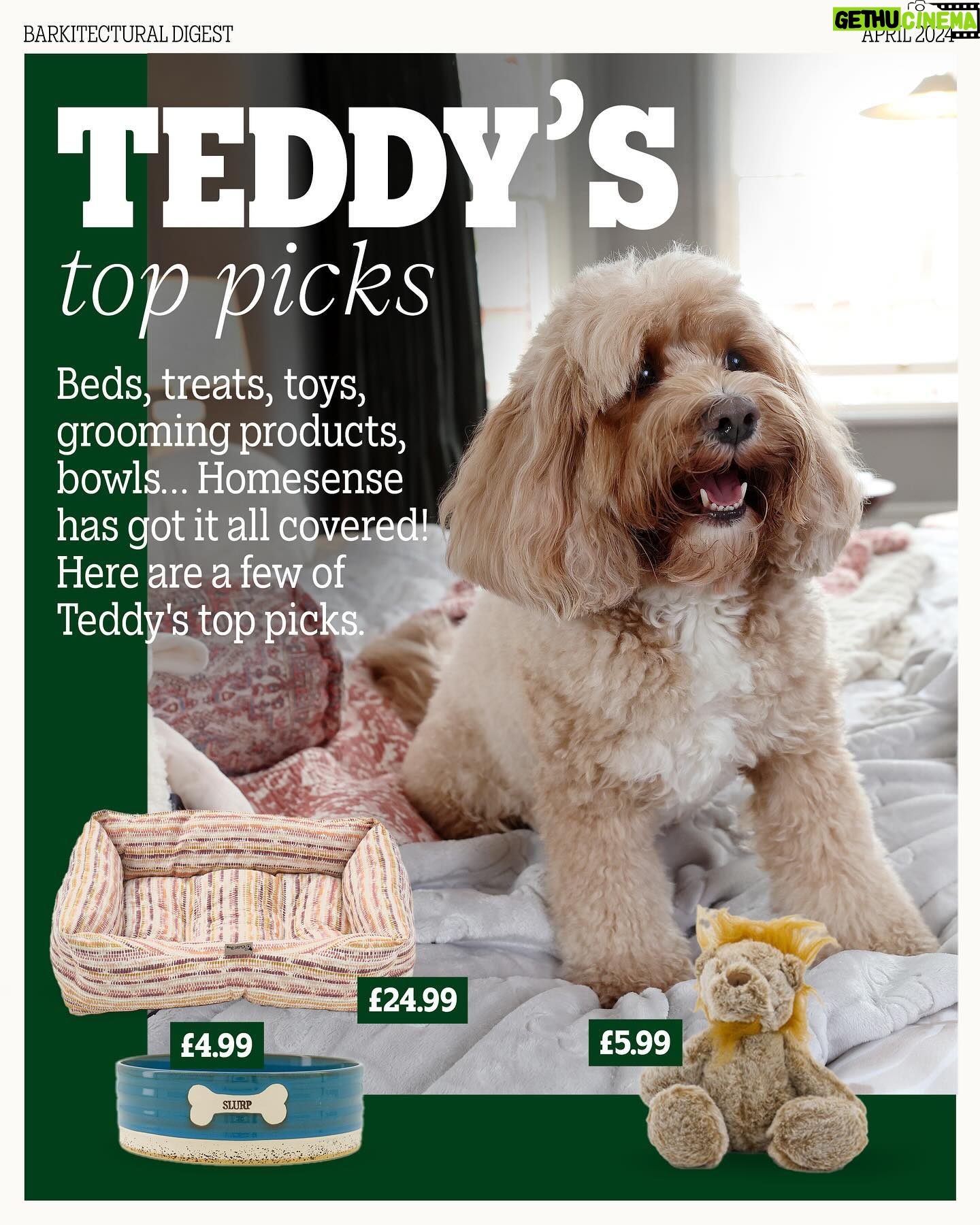 Kelly Brook Instagram - Introducing #BarkitecturalDigest, a digital content series to inspire pet owners wanting to give their pets a life of luxury for less. Here we spoke with dog mum and interiors fan @iamkb about all things pet and the home. She’s never far from her beloved cavapoo, Teddy, so it’s no surprise that elements of her home are designed not only to match her style, but with him in mind. At Homesense, you don’t have to compromise when it comes to your pets – or your interior style. With quality pet products and homeware at incredible value all year round, and fresh deliveries arriving throughout the week, you never know what you might find. Follow along for tips and inspiration. Welcome to a world where every pawprint adds a touch of charm to your home 🤍 #PetsOfHomesense #BarkitecturalDigest #AD