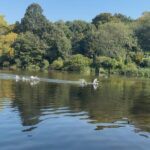 Kelly Brook Instagram - September Offerings …. 💕 🦢 🐖 🌅 🛶🐾🍂