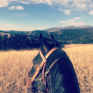 Kelly Reilly Instagram - Morning ride with my guy Bart. Thank you @theranchatrockcreek  for having us back 🦅