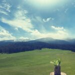 Kelly Reilly Instagram - Lily of the valley made it from my garden today to this beautiful valley in Montana . I have missed these mountains so much , this cast and crew and of course her... #season5 #yellowstone