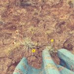 Kelly Reilly Instagram - We were married in somerset ,England surrounded by the countryside I love . This morning exactly 11 years later in Utah with you surrounded by rock ,wild desert flowers and Navajo willows. Mary Olivers poem for you today 🤍 (thank you , thank you )