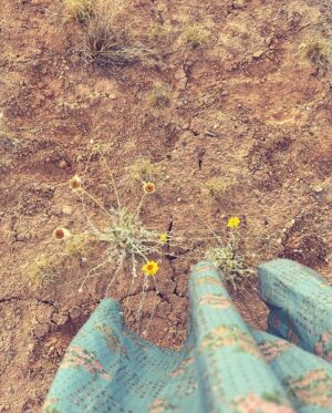 Kelly Reilly Instagram - We were married in somerset ,England surrounded by the countryside I love . This morning exactly 11 years later in Utah with you surrounded by rock ,wild desert flowers and Navajo willows. Mary Olivers poem for you today 🤍 (thank you , thank you )