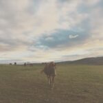Kelly Reilly Instagram – The South Downs in West Sussex , England . The softest light this afternoon and the gentlest soul