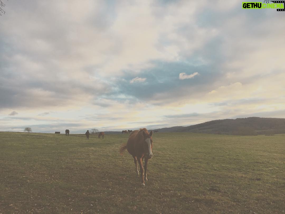 Kelly Reilly - 3.5K Likes - The South Downs in West Sussex , England . The softest light this afternoon and the gentlest soul