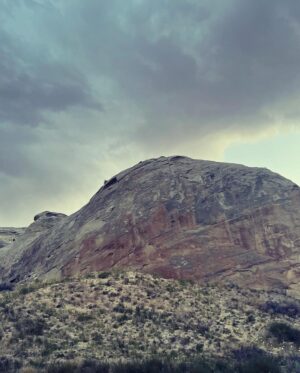 Kelly Reilly Instagram - We were married in somerset ,England surrounded by the countryside I love . This morning exactly 11 years later in Utah with you surrounded by rock ,wild desert flowers and Navajo willows. Mary Olivers poem for you today 🤍 (thank you , thank you )