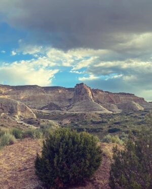 Kelly Reilly Instagram - We were married in somerset ,England surrounded by the countryside I love . This morning exactly 11 years later in Utah with you surrounded by rock ,wild desert flowers and Navajo willows. Mary Olivers poem for you today 🤍 (thank you , thank you )