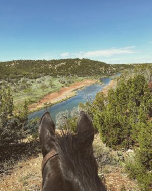 Kelly Reilly Instagram - riding out on the 6666 ranch today