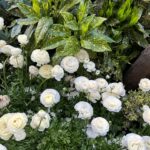 Kelly Rutherford Instagram - NYC 🌿🍃🕊️💫