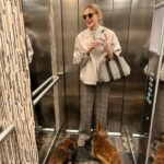 Kelly Rutherford Instagram - ☕️🐶🐶
