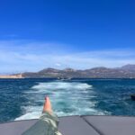 Kelly Vedovelli Instagram - 🌊 🌊 🌊 feed