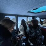 Kellyn Sun Instagram - I had an amazing experience with the sled dogs 😍🙌🏼 The dogs have so much fun doing it, for them it’s like a game, they love running, and after each person they give the dogs water and we can cuddle them after the session 🥰🤍