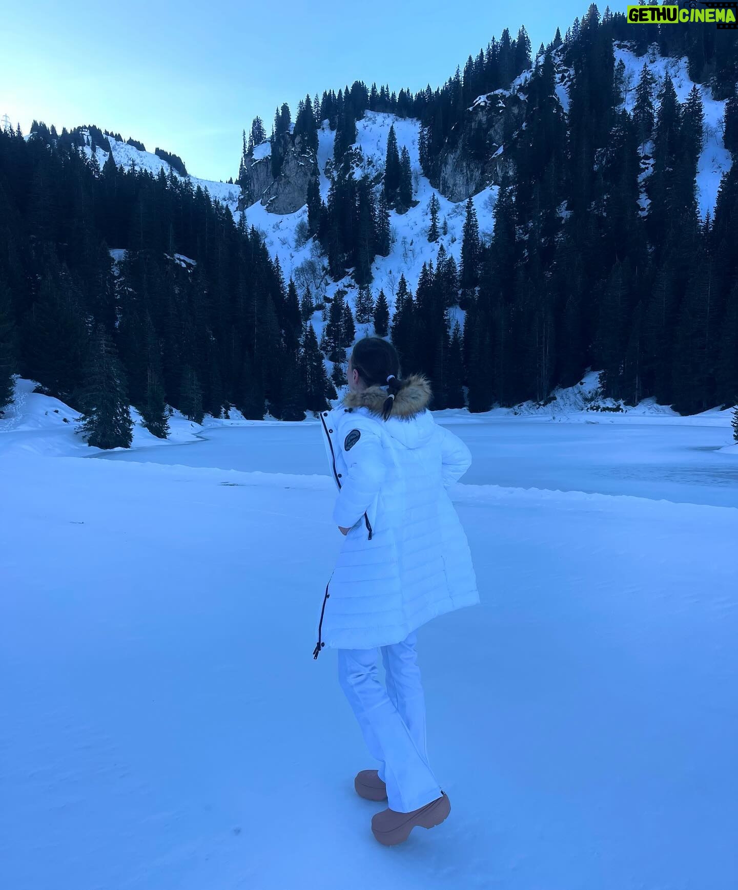 Kellyn Sun Instagram - I had an amazing experience with the sled dogs πππΌ The dogs have so much fun doing it, for them itβs like a game, they love running, and after each person they give the dogs water and we can cuddle them after the session π₯°π€