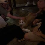 Kemisara Paladesh Instagram - Woof woof 🐶 first time attending wine tasting fair such a bliss ✨🌙