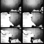 Kemisara Paladesh Instagram – 🐶🐶🐶🐶 woof woof Friday night