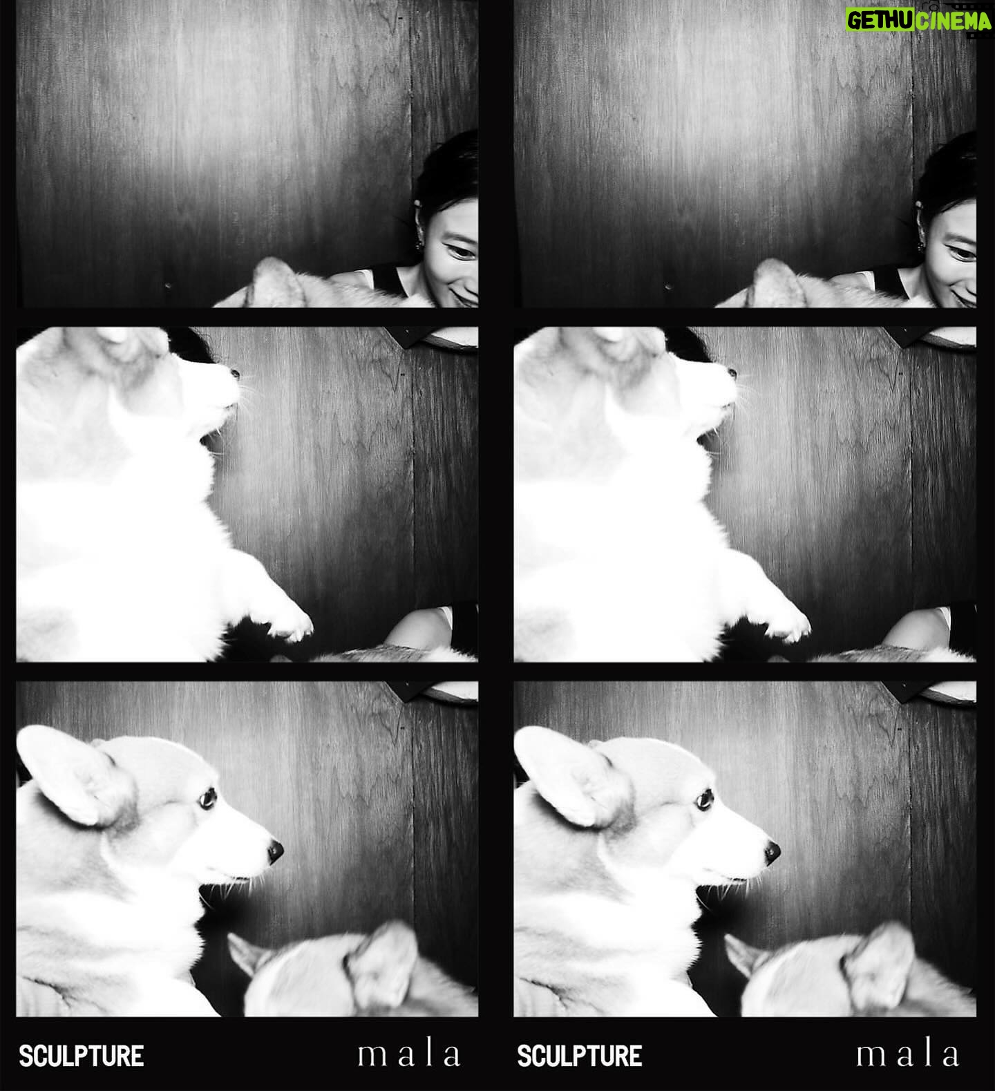 Kemisara Paladesh Instagram - 🐶🐶🐶🐶 woof woof Friday night