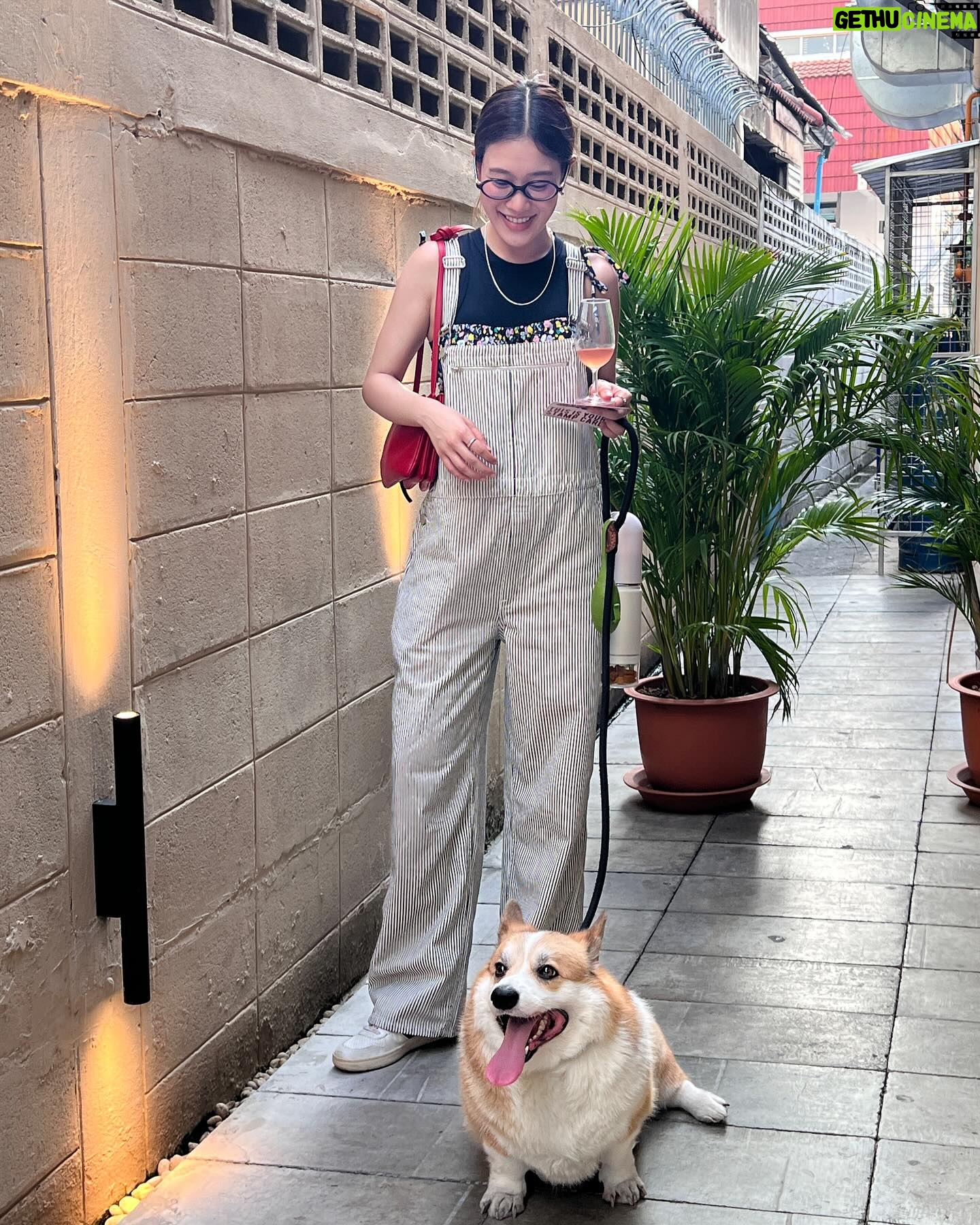 Kemisara Paladesh Instagram - Woof woof 🐶 first time attending wine tasting fair such a bliss ✨🌙