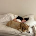 Kemisara Paladesh Instagram - My holiday plan starts n….now 💤😂🐶