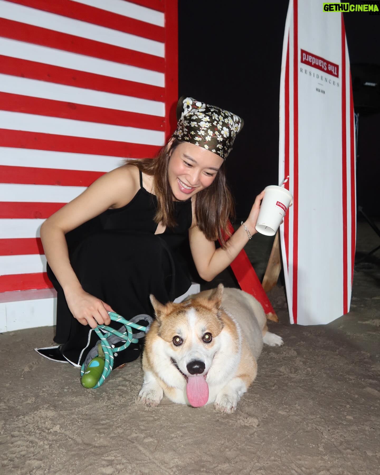 Kemisara Paladesh Instagram - Woof wof I love it here! 🐶 #POPOFRED #TheStandardResidencesHuahin #sansiri @sansiriplc