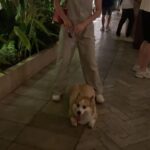 Kemisara Paladesh Instagram - Woof woof 🐶 first time attending wine tasting fair such a bliss ✨🌙