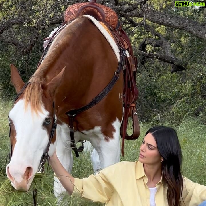 Kendall Jenner Instagram - full video on @voguemagazine youtube/in my bio by @ninaljeti