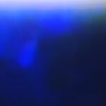 Kenshi Yonezu Instagram - 突発的に開かれた飲み会を終え、帰りの扉を開けると、朝の日差しと一緒に煙たいくらいに冷えた空気が鼻の奥を刺す。店に着いた真夜中の頃とは明らかにルールが変わってしまった街をフラフラ歩きながら、猥雑に流れるBGMから逃げるようにして帰る。なんとなく夏のジリジリした湿っぽい感じが恋しくなって、夏っぽい曲を聴きながら何か半年後の予定でも立てようかとあれこれ思案していく。そのうちに、いつか誰かに言われた「お前は病的に計画を立てるのが下手だ」という言葉にぶち当たり、今度はそこを直さなきゃなと、自分のことのくせに人事のような、プロトタイプのモビルスーツを扱う整備士みたいなことを思う。楽しいことがしたいね。 リビングの明かりを点けたら 、バチっと大きな音を立てて、最後に一瞬の閃光を残したまま二度と灯らなくなった。何かが死ぬ瞬間っていうのは得てしてこういうもんなのだろうと勝手に納得する。去年の暮れから人の死をずっと見つめ直していたから尚更だ（Lemonはいい曲になった）。人生が続いていくにあたり、そりゃあみんな当たり前に歳をとって劣化していくもので、そのうちの一つ、また一つと目の前を通り過ぎていくたびに、身の回りには様々な死が潜んでいることに気がつく。おいそれと「新キャラが登場しました」というわけにはいかないからこそ生きるのは面白いのに、人間は可愛いのでそんな当たり前のことさえも忘れようとする。彼らはまたどこか知らないところで元気にしているだろうか。形をなくしてしまったもの、 目には見えなくなってしまったものの輪郭を何もない空中でなぞることによって、それを浮かび上がらせて取り戻そうとする。畢竟、自分が音楽を作る理由はそういうところにある気がする。 この間いい感じの腕時計を見つけたので、衝動的に買ってみて、なかなか気に入ってたんだけど、たぶん失くした。そんなことも一年後には綺麗さっぱり忘れてしまっていると思うので、ここに書き記しておく。