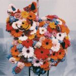 Kenshi Yonezu Instagram –