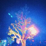 Kenshi Yonezu Instagram - 最高の曲ができたなあ。