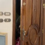 Kenzy Madbouly Instagram - دعدوش بقالهم ٧٥ سنة في المجال علشان حاجتهم احسن خامات واحسن اسعار وبيوصلوا لكل انحاء العالم🤍 @dadoushinst.eg @dadoushinst.lb @dadoushinst