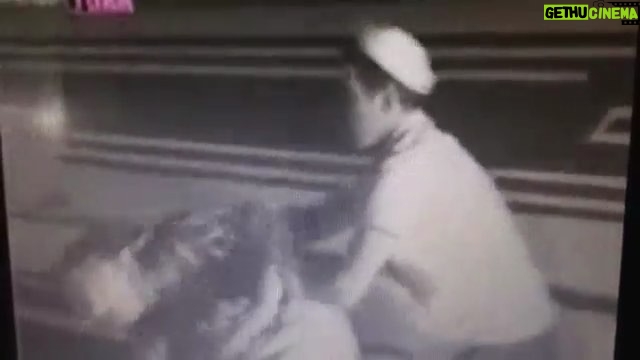 Kerem Alışık Instagram - İnsan dostlarının yaşam haklarına saygı duyalım. Onları sevelim ve koruyalım.