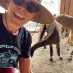 Kevin Bacon Instagram - The gang is really loving Hold Me Closer, @eltonjohn @britneyspears #GoatSongs