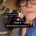 Kevin Bacon Instagram - Come with me for a day with Apollo (carrot not included) #FarmLife