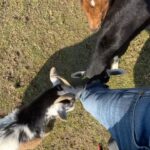 Kevin Bacon Instagram - Who knew my leg was such a hot commodity?!
