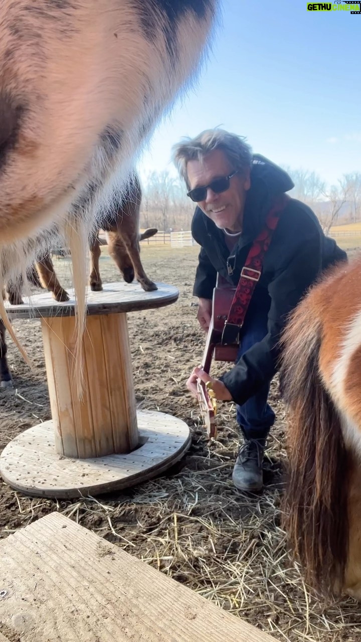 Kevin Bacon Instagram - “Kill Bill” or does Hocus want to kill my phone? Either way I’m enjoying this, @sza.