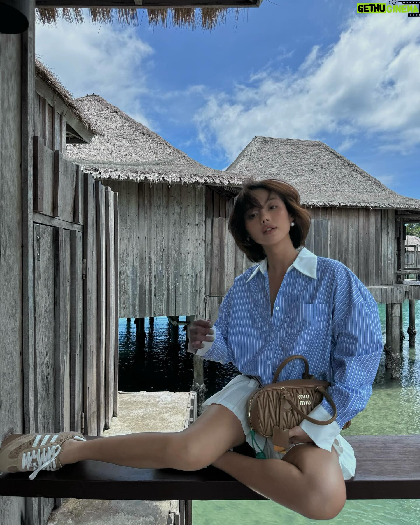 Khánh Linh - 21K Likes - Once a Miumiu girl, forever a Miumiu girl🤎