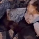 Khaled Selim Instagram - أنا مش عارف اقول ايه ؟!!؟ أنا ببكي بس .. قلبي محروق .. قلبي مولع .. مش عارف اعمل ايه علشان اهدا … بجد مش قادر اعبر ولا عارف اتكلم .. أنا بس بتقطع و تعبان من اللي بيحصل دا