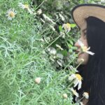 Khin Wint Wah Instagram - 🌸