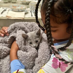 Khloé Kardashian Instagram - Welcome to the family Baby Kitty 🐈‍⬛ 

All True wanted for her six birthday was another kitty. She is such a great kitty mommy to Grey Kitty. I know she will be just as wonderful to Baby Kitty. 
Never in a million years did I think I would have one cat let alone two. But here we are and I love them. I love how much my kids love them as well. But this is my maximum for cats. Two is enough. 

Anyways, welcome Baby Kitty to the family. I’m sure Grey Kitty will be so happy to have a friend