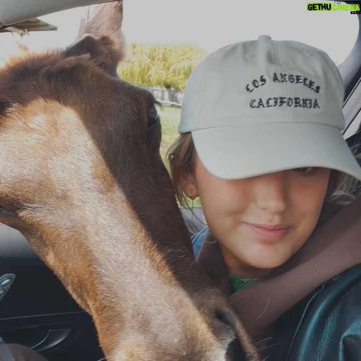 Kiera Bridget Instagram - the last few weeks make me feel WARM INSIDE 🤨🥰