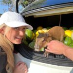 Kiera Bridget Instagram – GAHHH HE FINALLY PULLED UP EPIC VICTORY ROYALE MOMENT 🫦 @theurbanrescueranch ily I took the possum home with me TSA didn’t find it