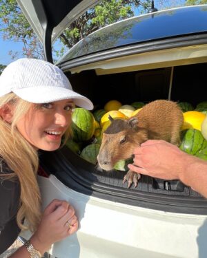 Kiera Bridget Instagram - GAHHH HE FINALLY PULLED UP EPIC VICTORY ROYALE MOMENT 🫦 @theurbanrescueranch ily I took the possum home with me TSA didn’t find it