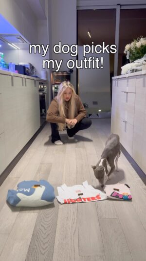 Kiera Bridget Instagram - termite has a passion for fashion 💅🏻