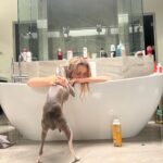 Kiera Bridget Instagram – nights in Vegas lead to mornings like these. Every time. Swipe 😭