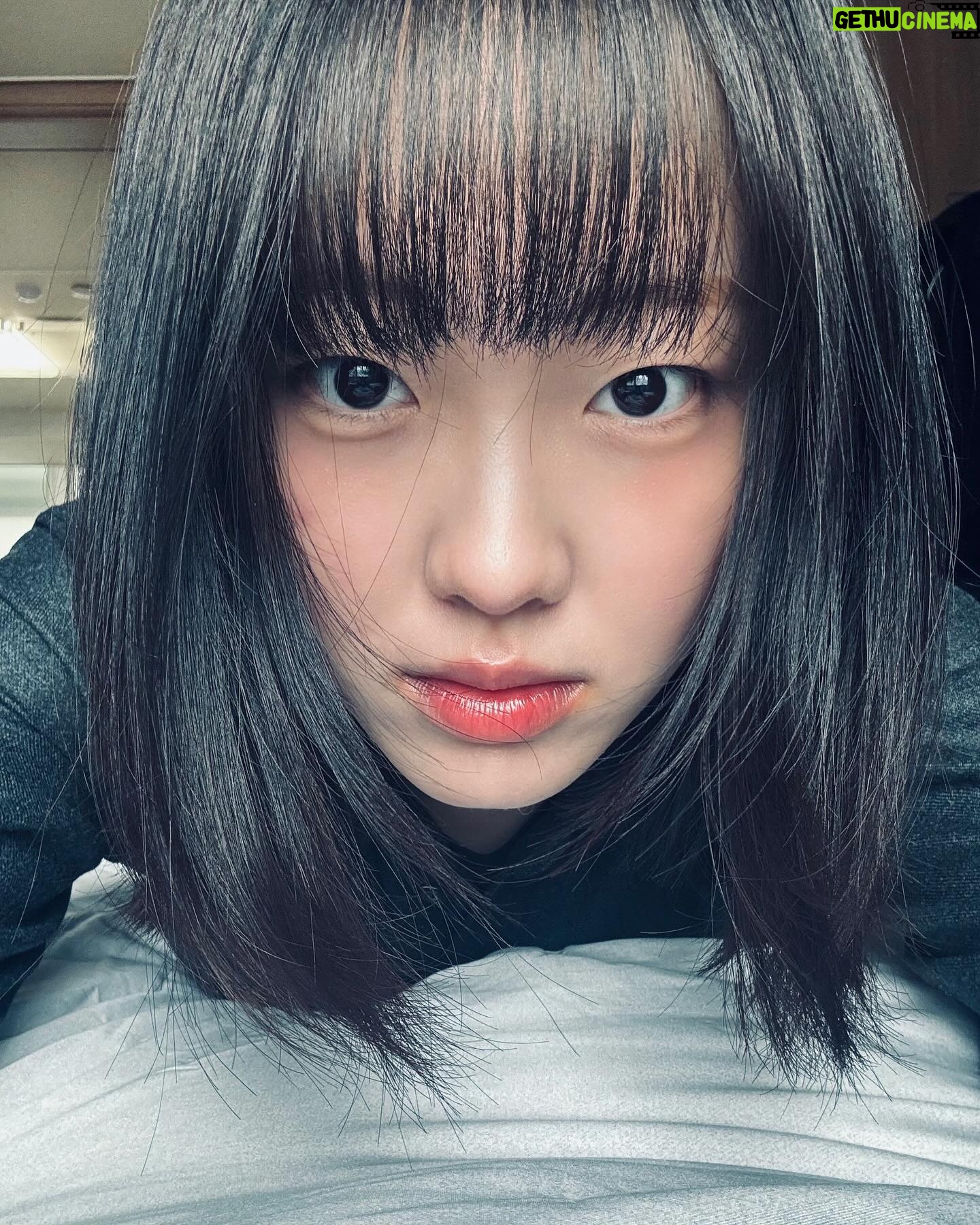 Kim Bo-yoon - 62K Likes - 맨날 잘라도 삐뚤빼뚤한 내 앞머리
제자리로 돌아가🫵🏻