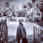 Kim Cattrall Instagram – Taking care of business..#TCB