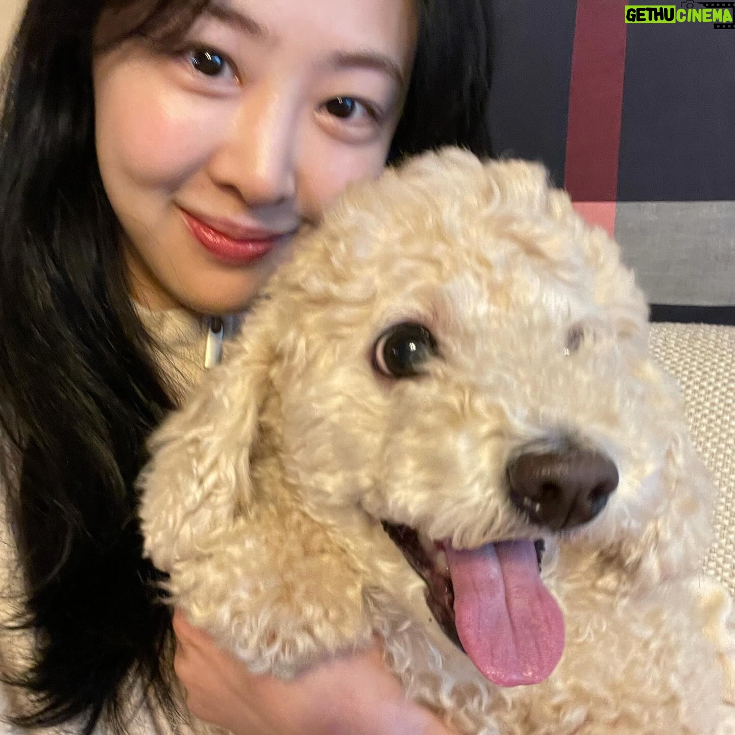 Kim Da-som Instagram - 2023년 감사했습니다💕 2024 더 많이 웃고 더 많이 행복하세요 Happy new year ! 😃