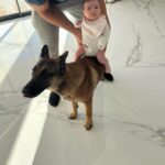 Kim Glow Instagram – Les instants magiques où ma petite merveille joue avec son grand frère Thaïger . Une complicité pleine de tendresse, où il veille sur elle comme un grand frère protecteur🥹

Mon petit amour qui grandit à son propre rythme ! La pédiatre dit qu’elle a pris un peu   de poids que prévue , mais c’est juste elle qui décides de grandir à la vitesse de la lumière. 🌟 Pas d’inquiétude, ma merveille, tu es parfaite comme tu es, et chaque gramme supplémentaire est juste une dose d’amour en plus.🩷

#taliaglow #babygirl #newborn #malinois #bergerbelgemalinois