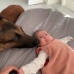 Kim Glow Instagram – Ma fille est super éveillée, elle a gardé sa tête relevée au moins une minute et le temps que je filme elle a tourné 🥹😍 c’est une prodige🩷

#babygirl #eveilbebe #bebe #bebé #newborn #taliaglow